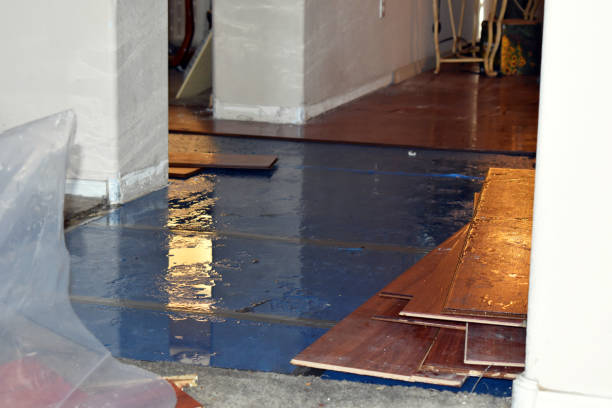 Professional Sewage Cleanup technician working in Little Suamico, WI